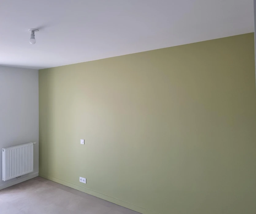Pièce intérieure vide avec mur principal peint en vert olive clair, murs latéraux blancs. Radiateur blanc fixé au mur gauche. Interrupteur électrique blanc centré sur le mur coloré.