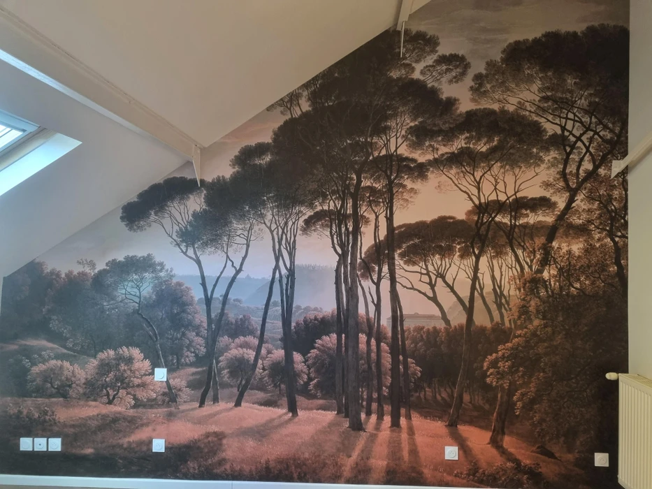 Chantier de rénovation intérieure en cours avec mur accent peint en terre cuite orange dans une pièce aux murs blancs. Prises électriques et interrupteurs noirs installés, câbles apparents en attente de finition. Sol protégé par bâche plastique.