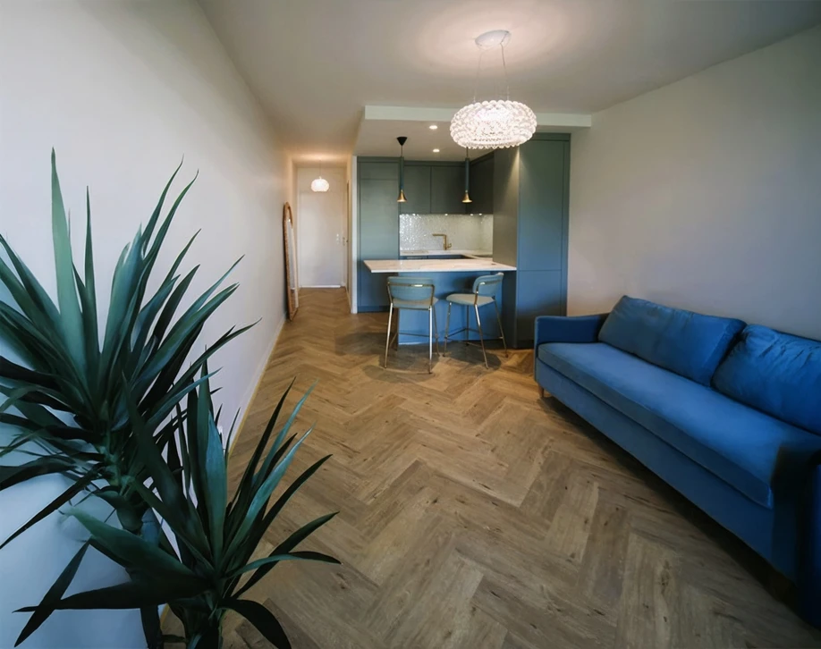 Espace de vie moderne ouvert avec cuisine équipée, salle à manger et salon